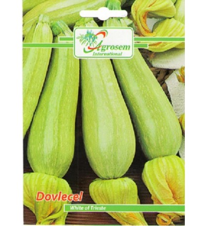 Dovlecel White of Trieste